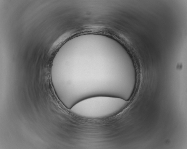 X0000114081354200910050950