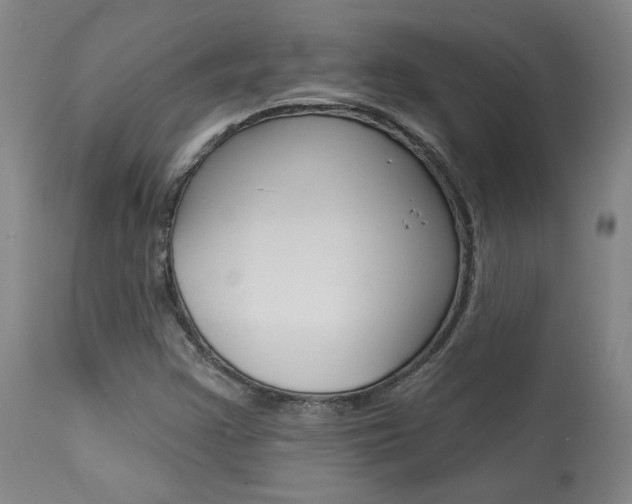 X0000114081355200910050950