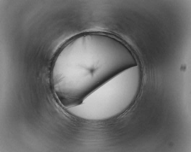 X0000114081356200910050950