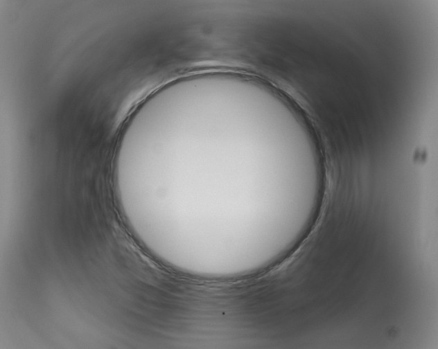 X0000114081357200910050950