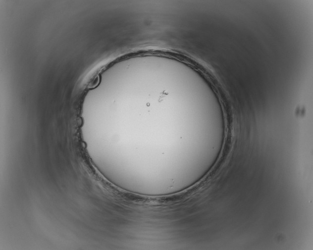 X0000114081359200910050950