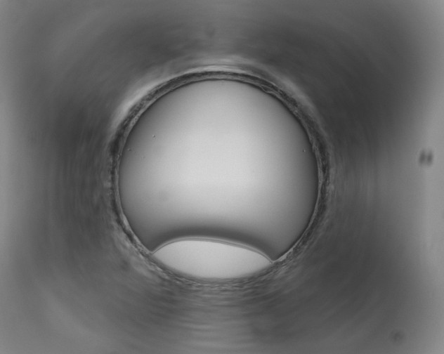 X0000114081360200910050950