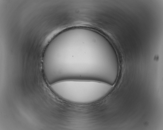 X0000114081363200910050949