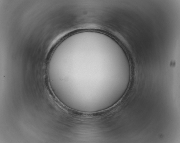 X0000114081364200910050949