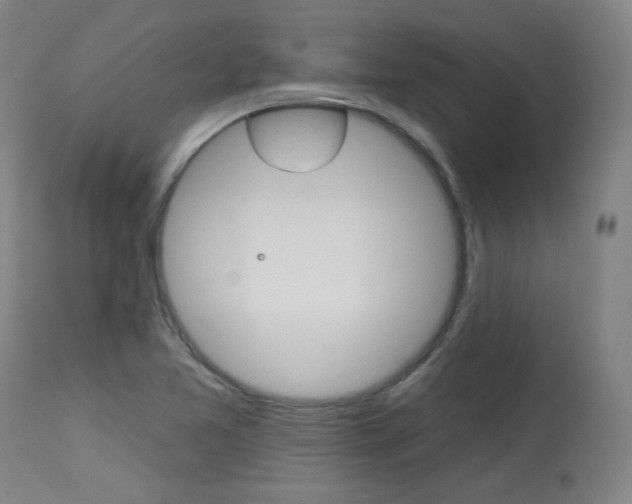X0000114081365200910050949