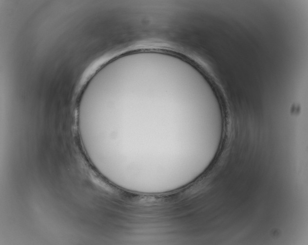 X0000114081366200910050949