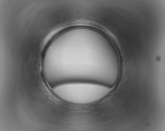 X0000114081368200910050949