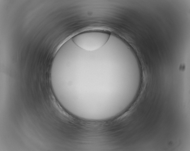 X0000114081369200910050949