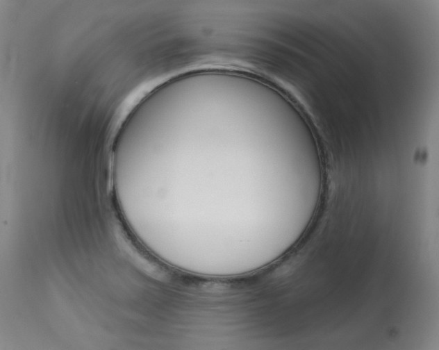 X0000114081371200910050949