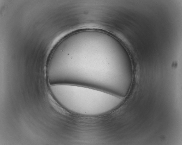 X0000114081372200910050949