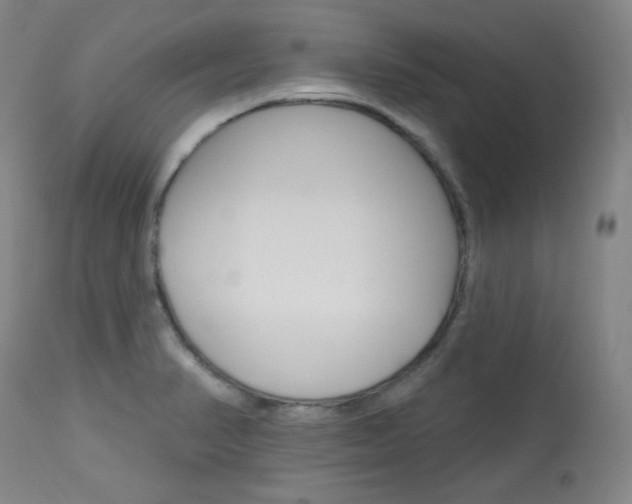 X0000114081374200910050949