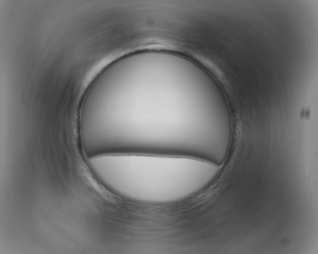 X0000114081375200910050949