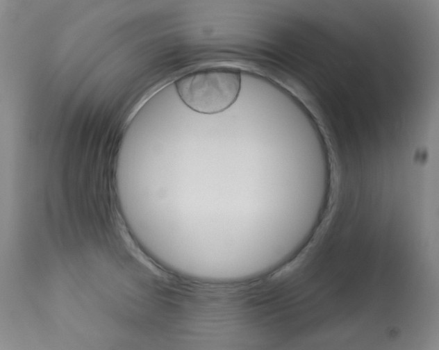 X0000114081377200910050949