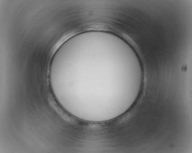 X0000114081378200910050949