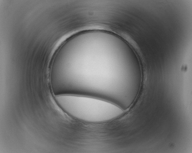 X0000114081380200910050949