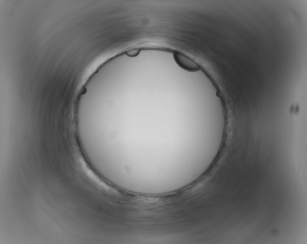 X0000114081382200910050949