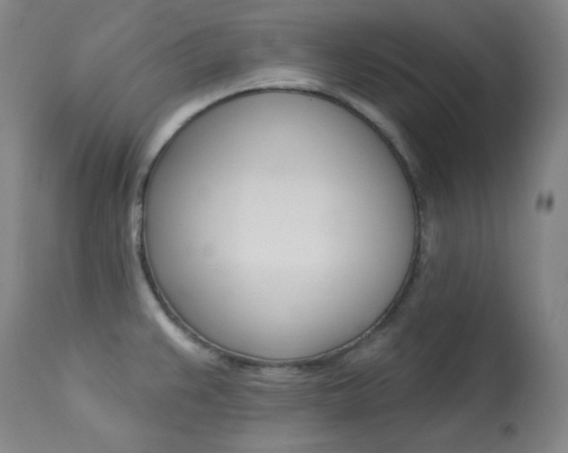 X0000114081383200910050949