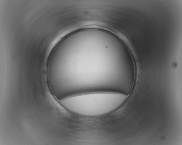 X0000114081384200910050949
