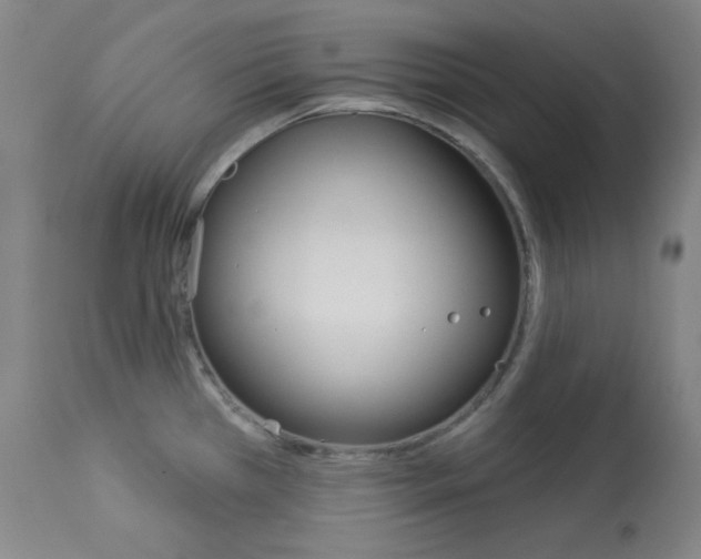 X0000114081385200910050949