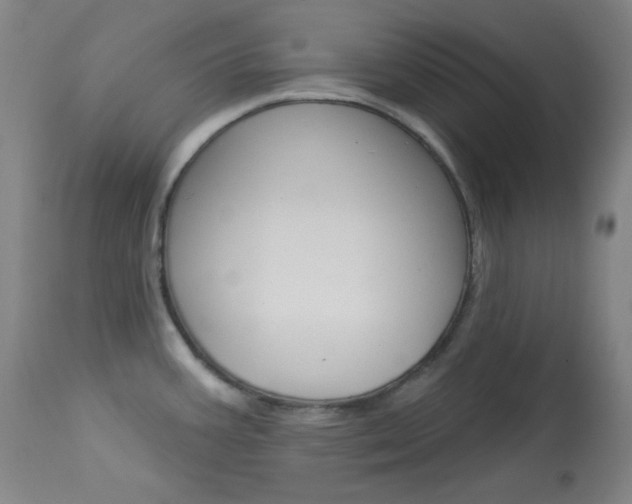X0000114081387200910050949