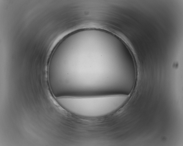 X0000114081388200910050949