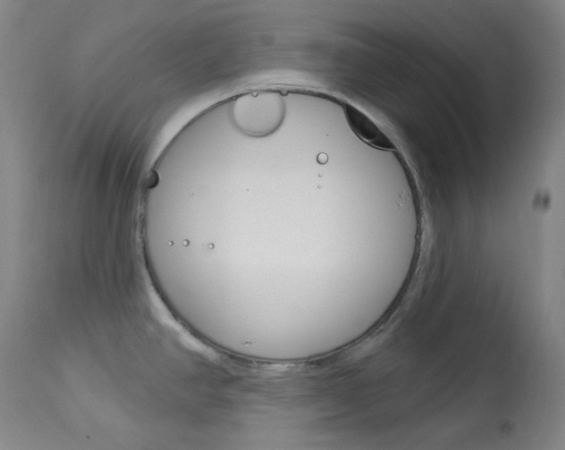 X0000114081390200910050949