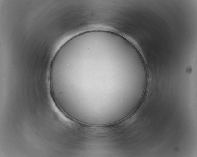 X0000114081391200910050949
