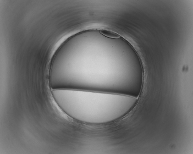 X0000114081392200910050949