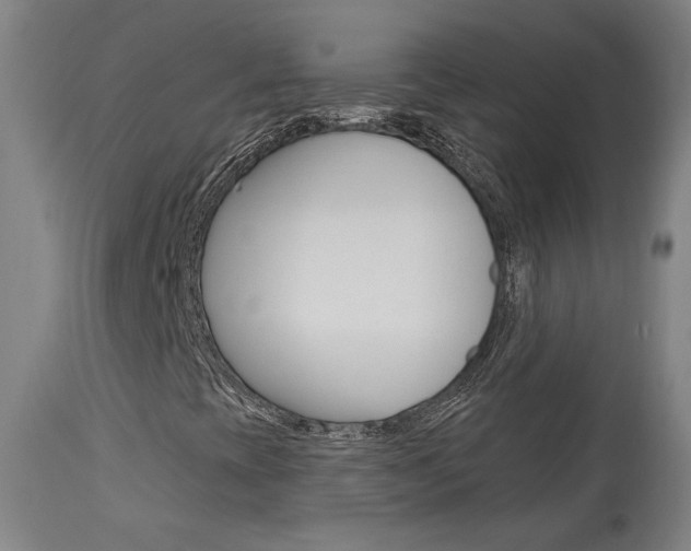 X0000114081393200910050948
