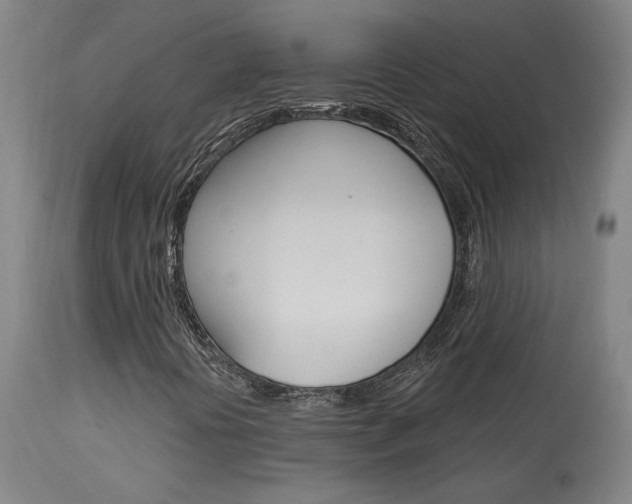 X0000114081394200910050948