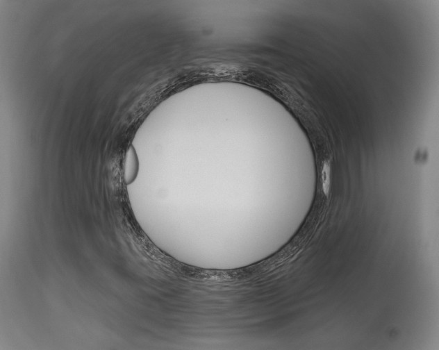X0000114081395200910050948