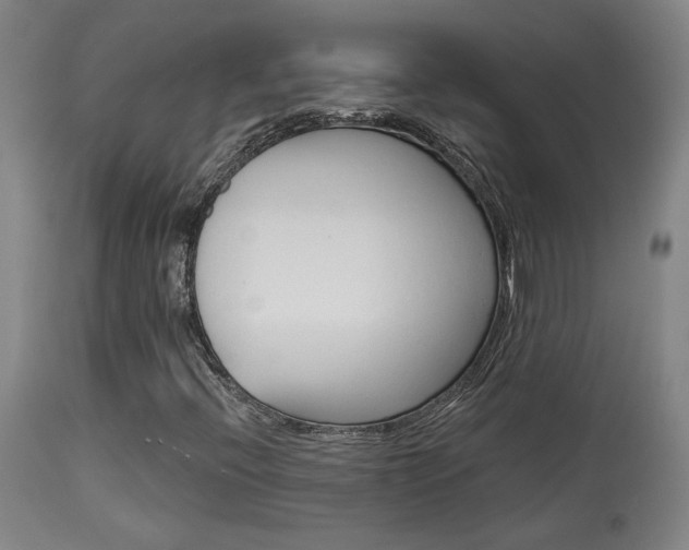 X0000114081396200910050948