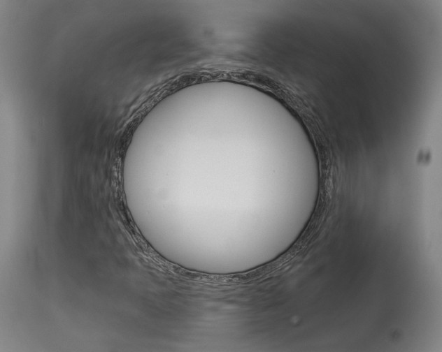X0000114081397200910050948