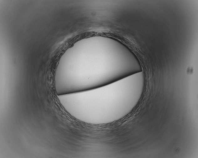 X0000114081398200910050948