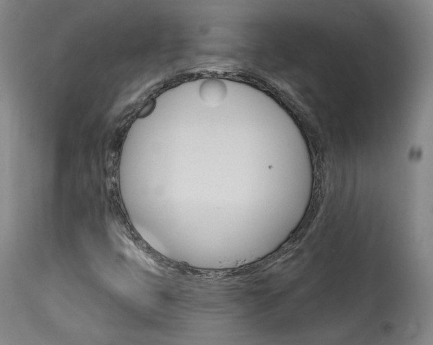 X0000114081399200910050948