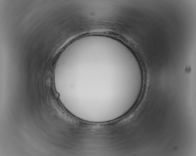 X0000114081401200910050948