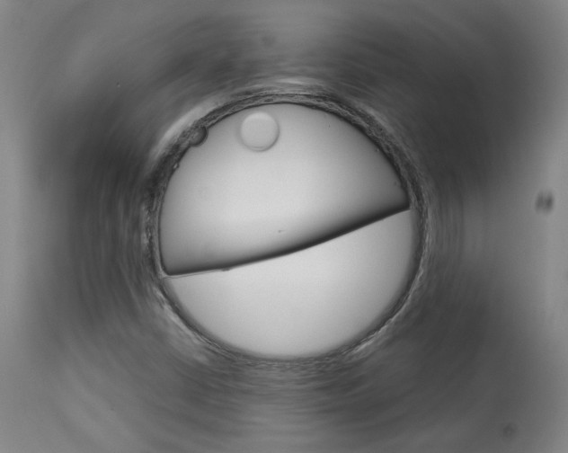 X0000114081402200910050948