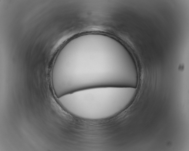 X0000114081404200910050948