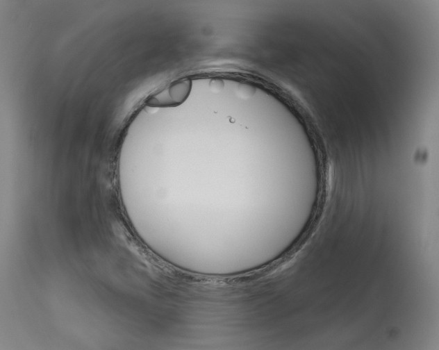 X0000114081405200910050948