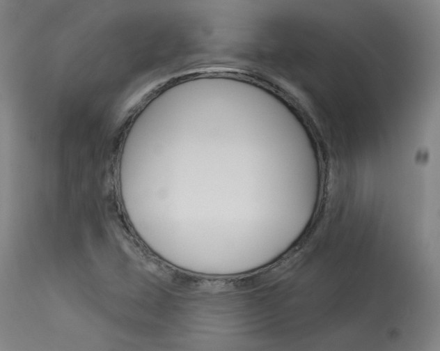 X0000114081407200910050948