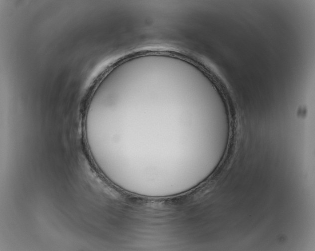 X0000114081408200910050948