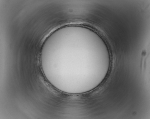 X0000114081409200910050948