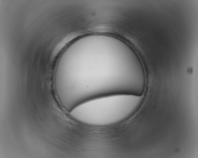 X0000114081410200910050948