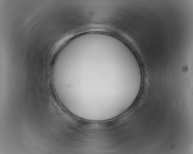 X0000114081411200910050948