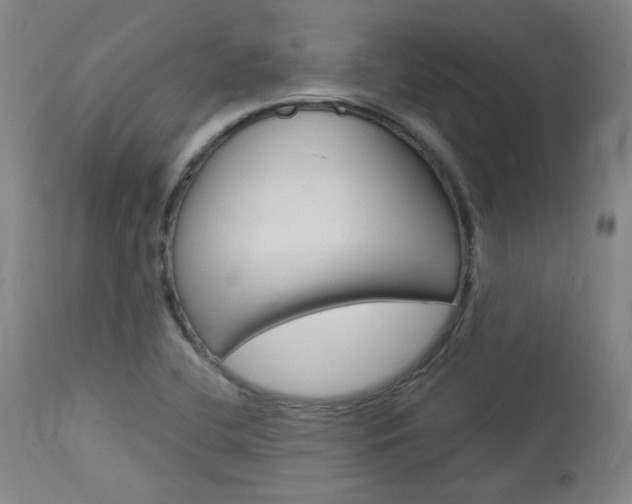 X0000114081412200910050948