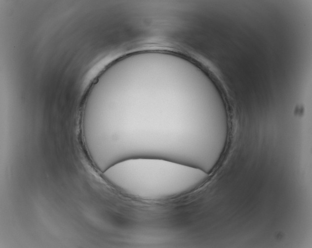 X0000114081415200910050948