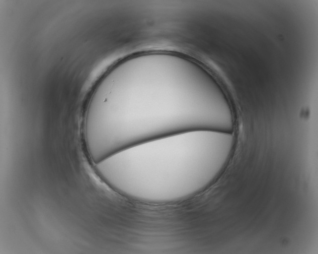 X0000114081416200910050948