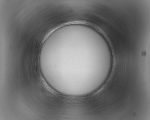 X0000114081417200910050948