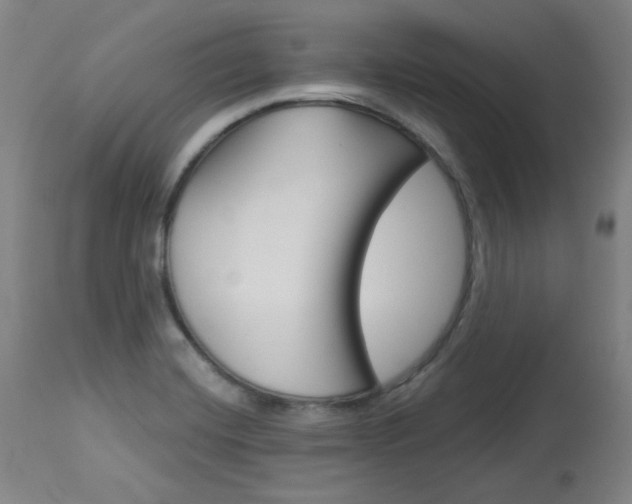 X0000114081420200910050948