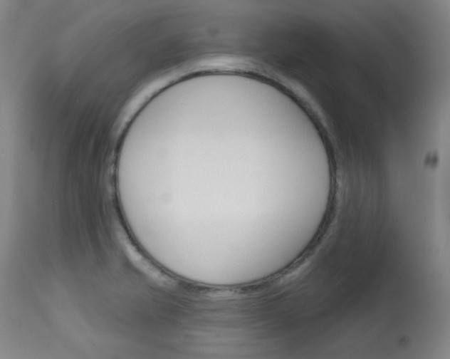 X0000114081421200910050948